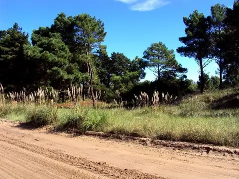 FR 42 PARCELAS 6, 9 Y 11 - AV DEL PLATA ENTRE EL LUCERO Y LOS INCAS - CONTADO