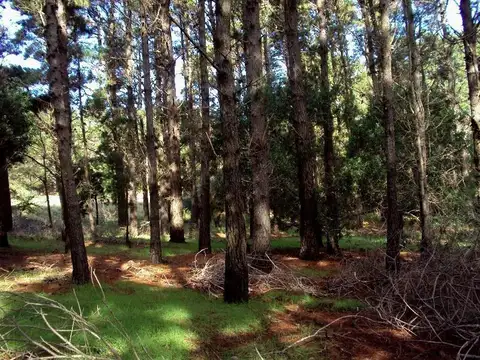 Terreno en Venta de 1344,0 m2