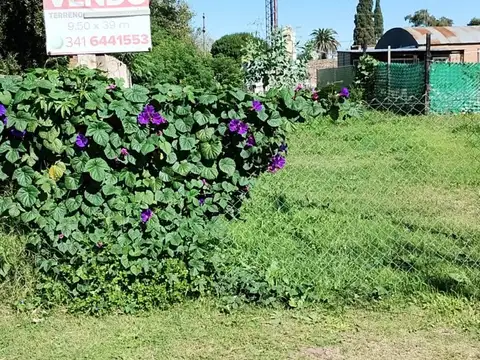 Terreno en Carrizales, Clarke con escritura