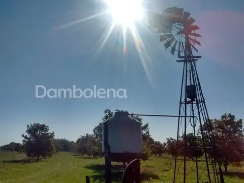 Ruta provincial 11 100