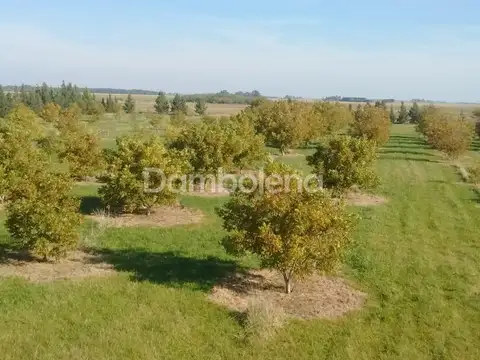 Ruta provincial 11 100