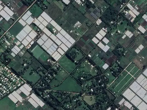 Terreno en Venta en Arturo Segui, USD 100.000