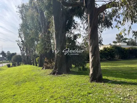 La Reserva Cardales 100