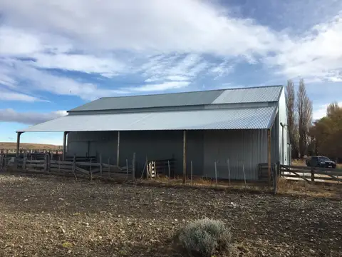 Campo de 13.157 has en Rio Senguer