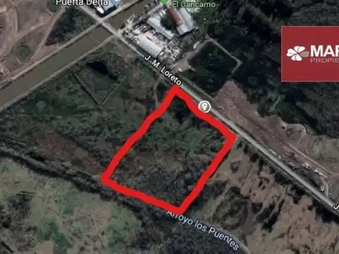 MAROTO PROPIEDADES al 100