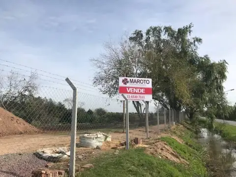 MAROTO PROPIEDADES al 100