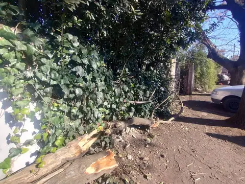 Fructuoso Rivera 2000, Piso 0