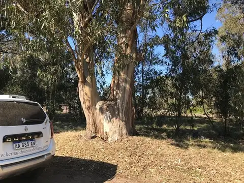 Terreno en Venta de 300,0 m2