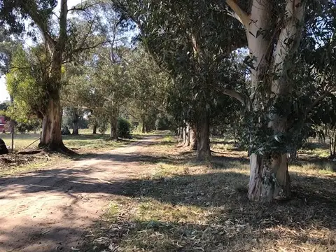 Terreno en Venta de 300,0 m2