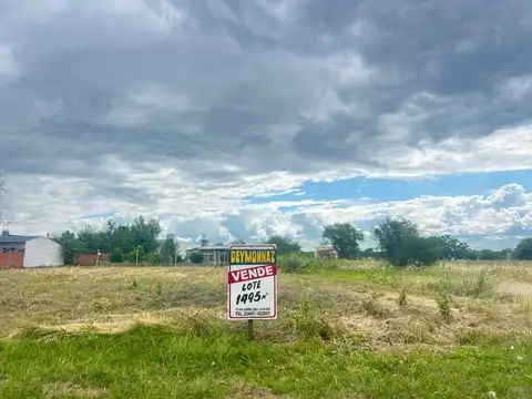 Terreno Zona Playa y Termas San José