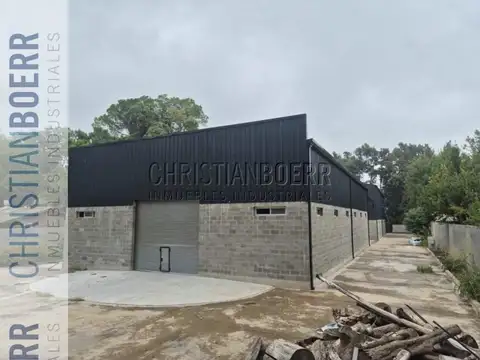 Local en Alquiler A Estrenar