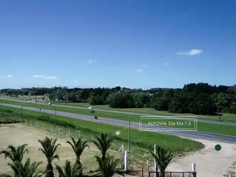 DOS HECTAREAS CON GALPON, RUTA 226, 2KM DE MAR DEL PLATA.