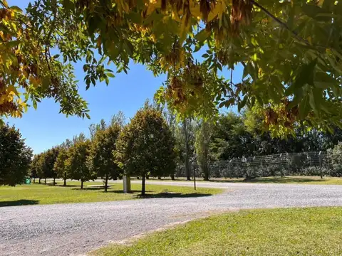 Terreno en Venta de 1700,0 m2