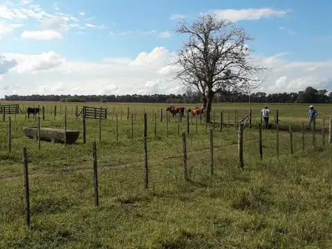 Campo en Venta de 17  ha