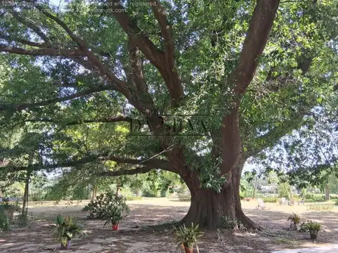 Terreno Con Pileta El Moro