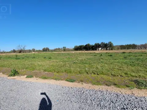 Terreno en Venta 50  mts Fondo