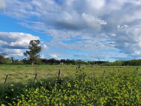 Venta Lote Barrio Los Pinos
