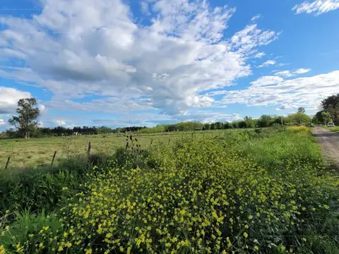 Terreno en Venta de 1500,0 m2