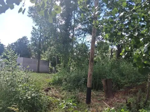 Terreno en Venta en Camet, USD 30.000