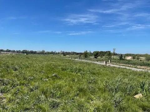 Terreno en Venta de 1081,0 m2