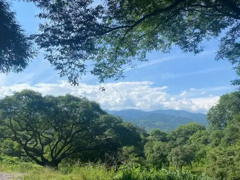San Lorenzo Chico. La Aguada. Lote 100