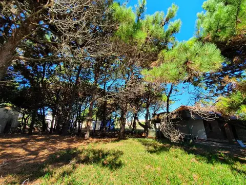 Terreno en Venta 40  mts Fondo