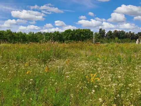 LDO Venta Lote 1500m2 El Lazo Capilla del Señor