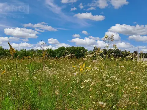 LDO Venta Lote 1500m2 El Lazo Capilla del Señor