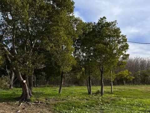 Lomas de Arana - 630 y 30