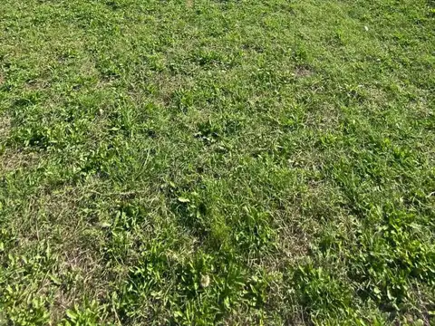 Terreno en Venta de 302,0 m2