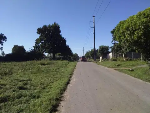 Los Olivos - 35 y 183