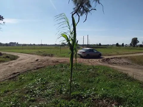 Terreno en Venta 27  mts Fondo