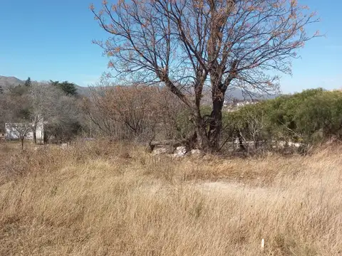 Lote a la venta en Bialet Masse. (L300)