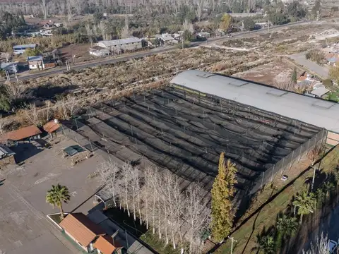 Galpon en Alquiler 21 años