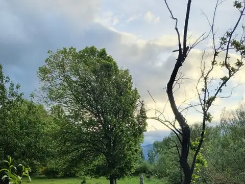 Vidal  esq.  Zenteno