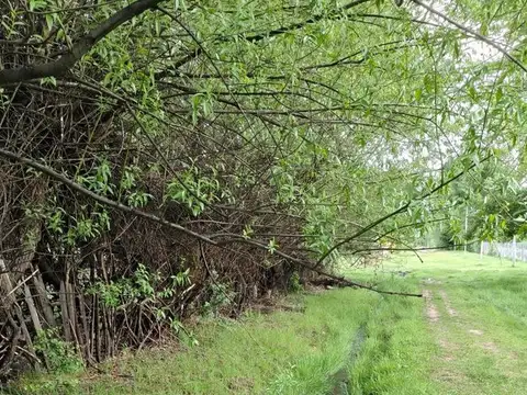 Terreno en Venta de 1281,0 m2