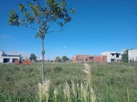 Av. Antartida Argentina, La Campiña I, Zárate 100