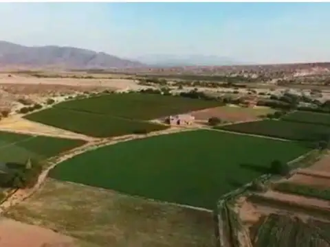 Viña y Bodega - Santa Maria - Catamarca