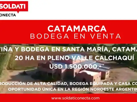 Viña y Bodega en Venta - Santa Maria - Catamarca