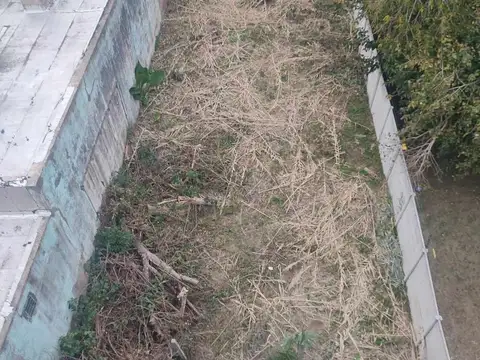 Avenida Rigolleau 1300