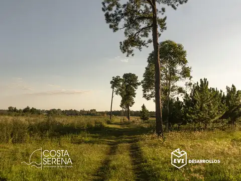 Terreno en Venta en Colonia Ayui Grande, USD 30.000