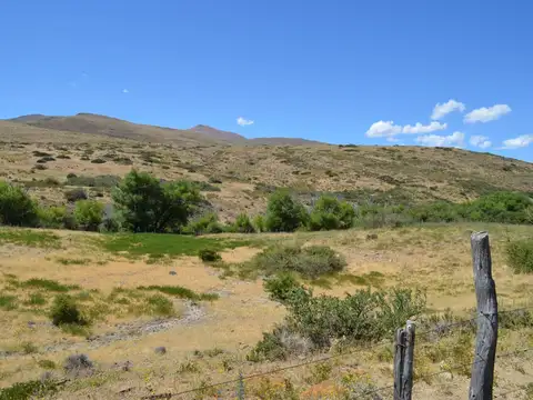11250 ha - Ganaderas - Colipilli - Neuquen