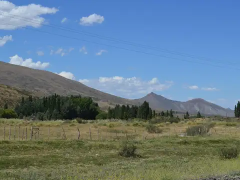 11250 ha - Ganaderas - Colipilli - Neuquen
