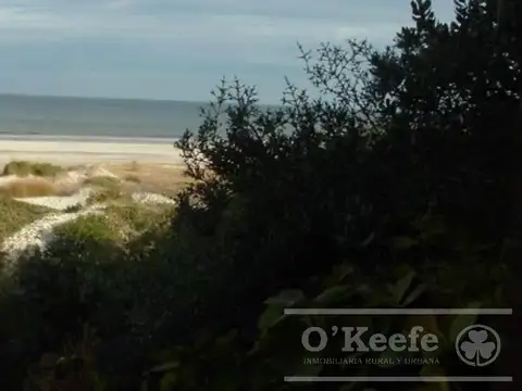 Tierra apta desarrollo de 117 has en Canelones, Uruguay