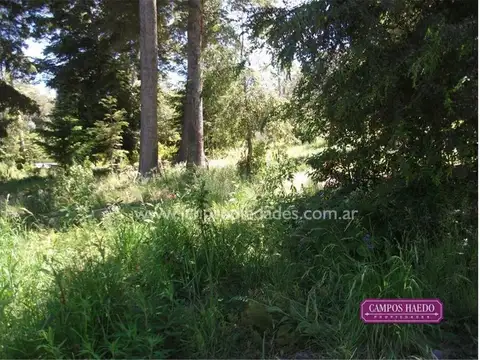 Terreno en Venta en Puerto Manzano, USD 297.000