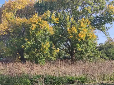 Terreno en Venta en Chascomus, USD 40.000