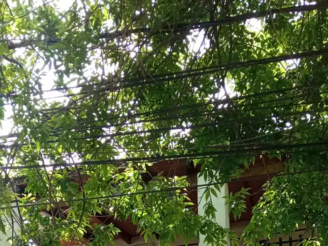 Local en venta en Jockey