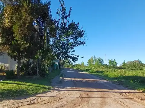 Campo ganadero (monte) CedeLu