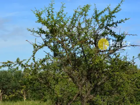 Terreno en Venta en Los Molles, USD 60.000