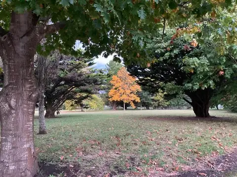 BARRIO PINARES DE SANTA CLARA